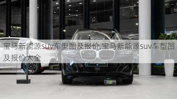 宝马新能源suv车型图及报价,宝马新能源suv车型图及报价大全-第1张图片-苏希特新能源