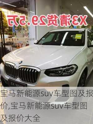 宝马新能源suv车型图及报价,宝马新能源suv车型图及报价大全-第3张图片-苏希特新能源