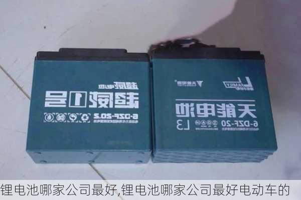 锂电池哪家公司最好,锂电池哪家公司最好电动车的-第3张图片-苏希特新能源