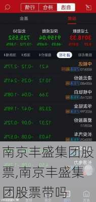 南京丰盛集团股票,南京丰盛集团股票带吗