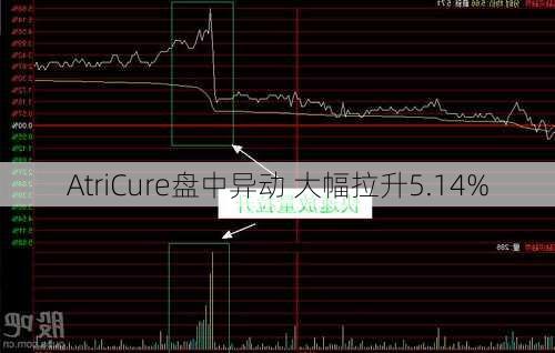 AtriCure盘中异动 大幅拉升5.14%-第1张图片-苏希特新能源