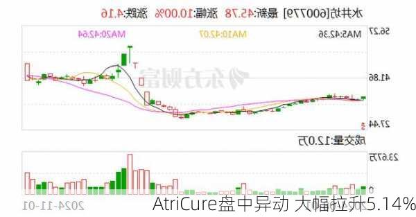 AtriCure盘中异动 大幅拉升5.14%-第2张图片-苏希特新能源