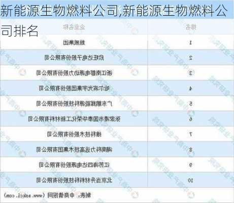 新能源生物燃料公司,新能源生物燃料公司排名-第1张图片-苏希特新能源