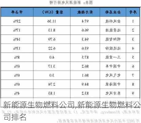 新能源生物燃料公司,新能源生物燃料公司排名-第2张图片-苏希特新能源