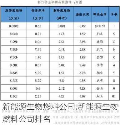 新能源生物燃料公司,新能源生物燃料公司排名-第3张图片-苏希特新能源