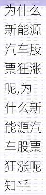 为什么新能源汽车股票狂涨呢,为什么新能源汽车股票狂涨呢知乎-第2张图片-苏希特新能源