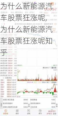 为什么新能源汽车股票狂涨呢,为什么新能源汽车股票狂涨呢知乎-第3张图片-苏希特新能源