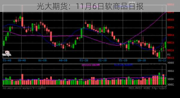 光大期货：11月6日软商品日报