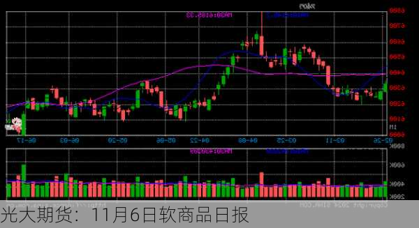 光大期货：11月6日软商品日报-第2张图片-苏希特新能源