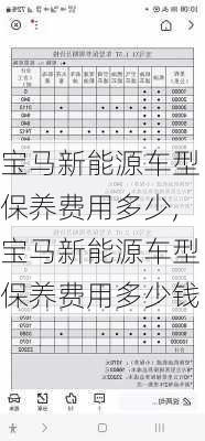 宝马新能源车型保养费用多少,宝马新能源车型保养费用多少钱-第2张图片-苏希特新能源