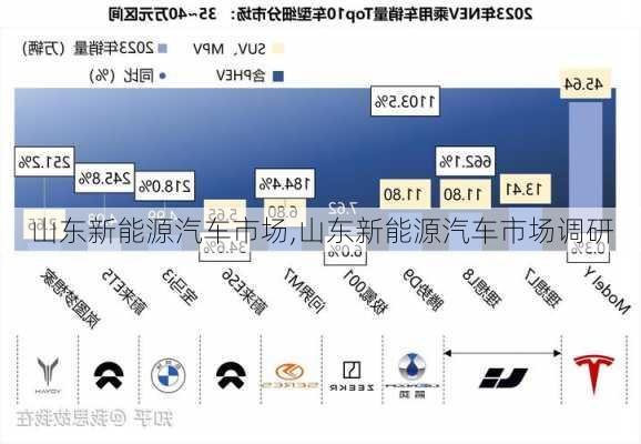 山东新能源汽车市场,山东新能源汽车市场调研-第3张图片-苏希特新能源