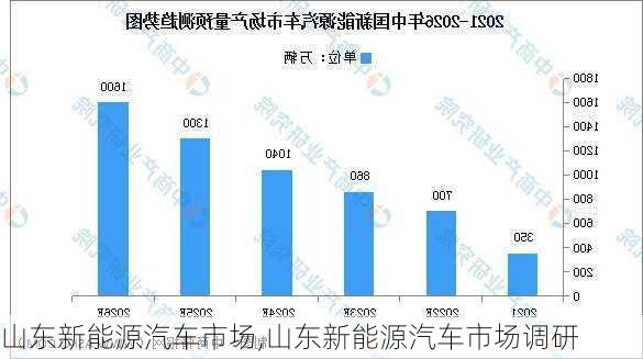 山东新能源汽车市场,山东新能源汽车市场调研-第1张图片-苏希特新能源