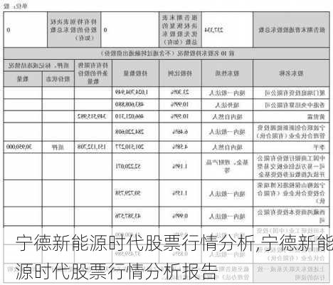 宁德新能源时代股票行情分析,宁德新能源时代股票行情分析报告-第3张图片-苏希特新能源