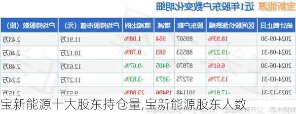 宝新能源十大股东持仓量,宝新能源股东人数-第1张图片-苏希特新能源