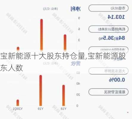 宝新能源十大股东持仓量,宝新能源股东人数-第2张图片-苏希特新能源