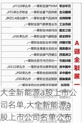 大全新能源a股上市公司名单,大全新能源a股上市公司名单公布-第3张图片-苏希特新能源