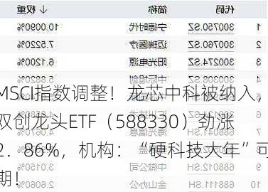 MSCI指数调整！龙芯中科被纳入，双创龙头ETF（588330）劲涨2．86%，机构：“硬科技大年”可期！-第2张图片-苏希特新能源