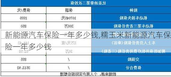 新能源汽车保险一年多少钱,糯玉米新能源汽车保险一年多少钱-第3张图片-苏希特新能源