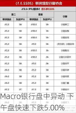 Macro银行盘中异动 下午盘快速下跌5.00%-第2张图片-苏希特新能源