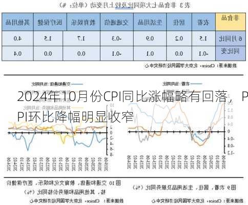 2024年10月份CPI同比涨幅略有回落，PPI环比降幅明显收窄-第3张图片-苏希特新能源