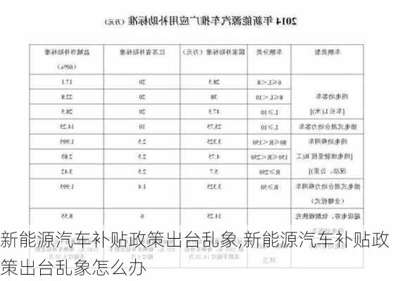 新能源汽车补贴政策出台乱象,新能源汽车补贴政策出台乱象怎么办-第1张图片-苏希特新能源