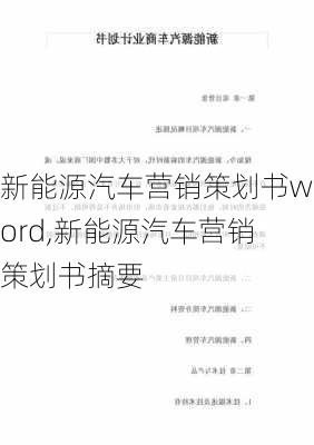 新能源汽车营销策划书word,新能源汽车营销策划书摘要-第2张图片-苏希特新能源