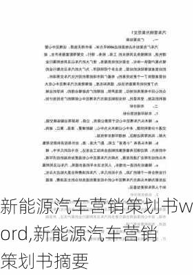 新能源汽车营销策划书word,新能源汽车营销策划书摘要-第3张图片-苏希特新能源