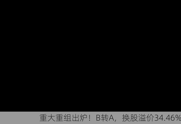 重大重组出炉！B转A，换股溢价34.46%-第3张图片-苏希特新能源