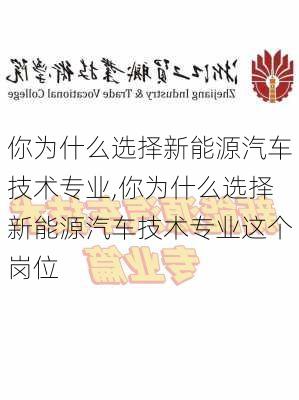 你为什么选择新能源汽车技术专业,你为什么选择新能源汽车技术专业这个岗位-第2张图片-苏希特新能源