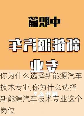 你为什么选择新能源汽车技术专业,你为什么选择新能源汽车技术专业这个岗位-第1张图片-苏希特新能源