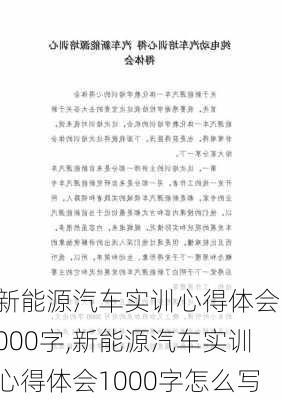 新能源汽车实训心得体会1000字,新能源汽车实训心得体会1000字怎么写-第1张图片-苏希特新能源