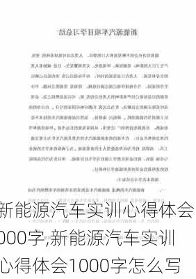 新能源汽车实训心得体会1000字,新能源汽车实训心得体会1000字怎么写-第3张图片-苏希特新能源