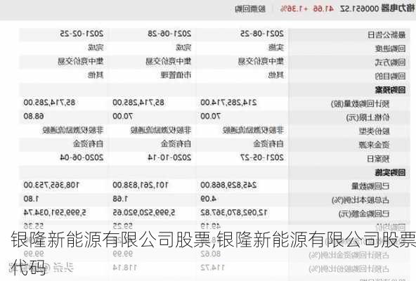 银隆新能源有限公司股票,银隆新能源有限公司股票代码-第1张图片-苏希特新能源