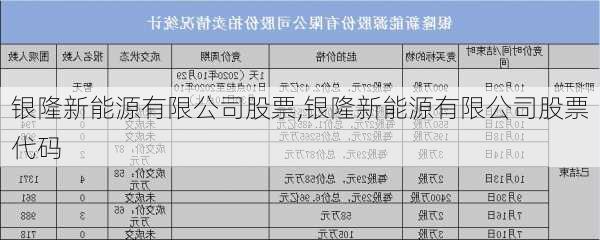 银隆新能源有限公司股票,银隆新能源有限公司股票代码-第2张图片-苏希特新能源