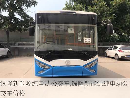 银隆新能源纯电动公交车,银隆新能源纯电动公交车价格-第3张图片-苏希特新能源