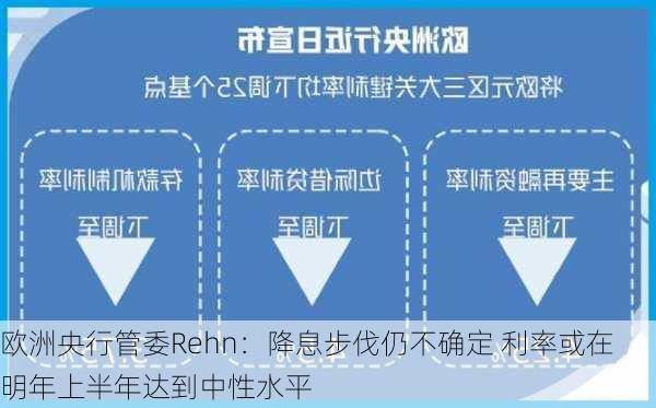 欧洲央行管委Rehn：降息步伐仍不确定 利率或在明年上半年达到中性水平-第1张图片-苏希特新能源