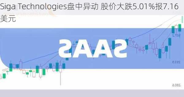 Siga Technologies盘中异动 股价大跌5.01%报7.16美元-第1张图片-苏希特新能源