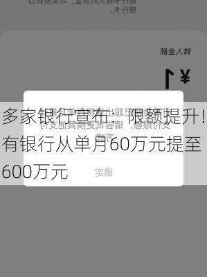 多家银行宣布：限额提升！有银行从单月60万元提至600万元-第2张图片-苏希特新能源