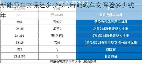 新能源车交保险多少钱?,新能源车交保险多少钱一年-第2张图片-苏希特新能源