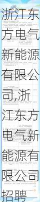 浙江东方电气新能源有限公司,浙江东方电气新能源有限公司招聘-第2张图片-苏希特新能源