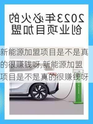 新能源加盟项目是不是真的很赚钱呀,新能源加盟项目是不是真的很赚钱呀-第3张图片-苏希特新能源