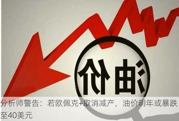 分析师警告：若欧佩克+取消减产，油价明年或暴跌至40美元-第1张图片-苏希特新能源