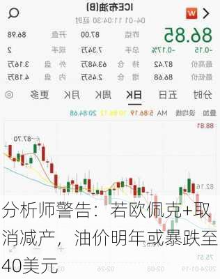 分析师警告：若欧佩克+取消减产，油价明年或暴跌至40美元-第3张图片-苏希特新能源