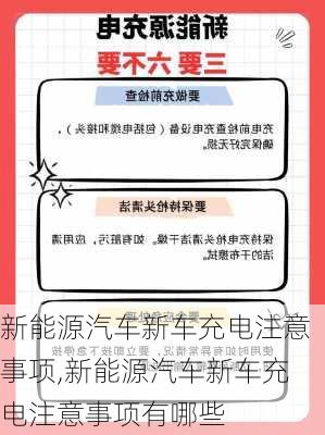 新能源汽车新车充电注意事项,新能源汽车新车充电注意事项有哪些