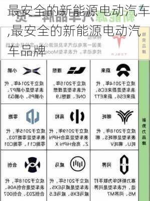 最安全的新能源电动汽车,最安全的新能源电动汽车品牌-第2张图片-苏希特新能源