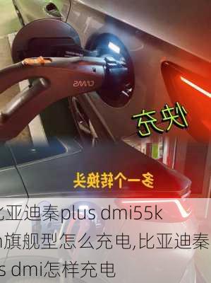 比亚迪秦plus dmi55km旗舰型怎么充电,比亚迪秦plus dmi怎样充电-第3张图片-苏希特新能源