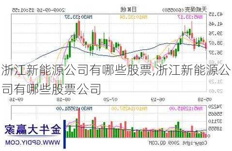 浙江新能源公司有哪些股票,浙江新能源公司有哪些股票公司