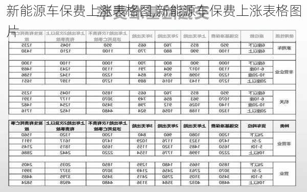 新能源车保费上涨表格图,新能源车保费上涨表格图片-第3张图片-苏希特新能源