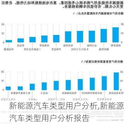 新能源汽车类型用户分析,新能源汽车类型用户分析报告