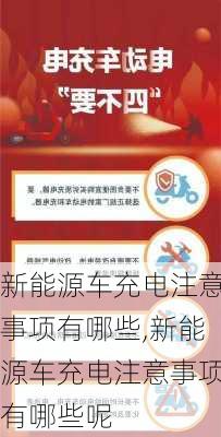 新能源车充电注意事项有哪些,新能源车充电注意事项有哪些呢-第3张图片-苏希特新能源